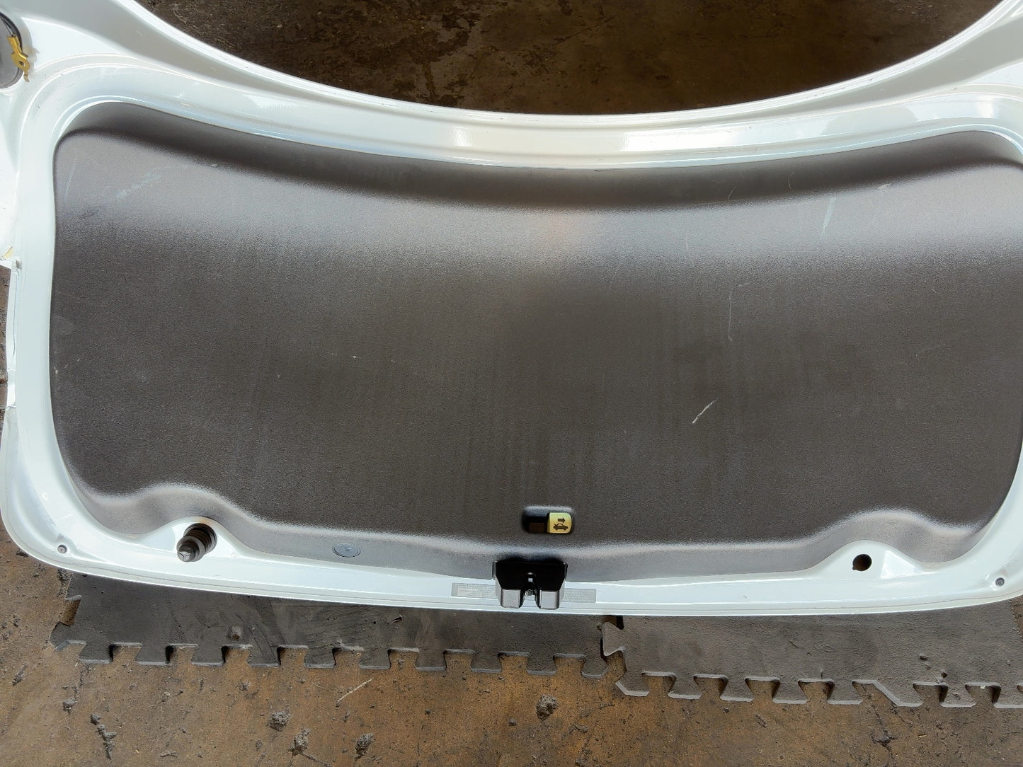 2021-2023 Tesla Model 3 Trunk Lid Assembly 1601460-E0-A