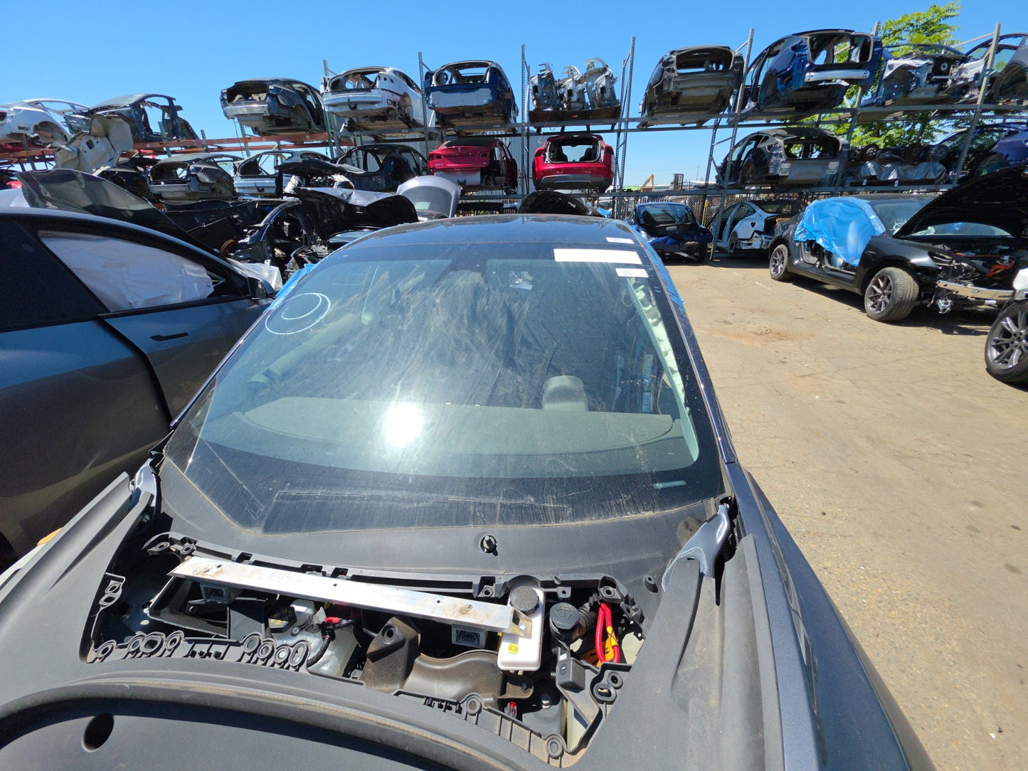 2023 Tesla Model 3 Windshield 1466270-00-J