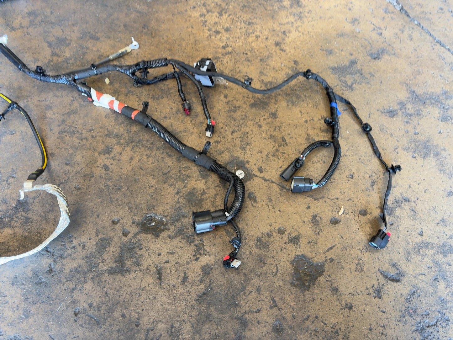 2025 Tesla Model 3 Highland Front Body Harness Assembly 1897330-11-B