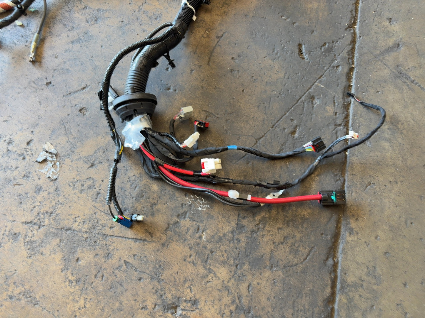 2025 Tesla Model 3 Highland Front Body Harness Assembly 1897330-11-B