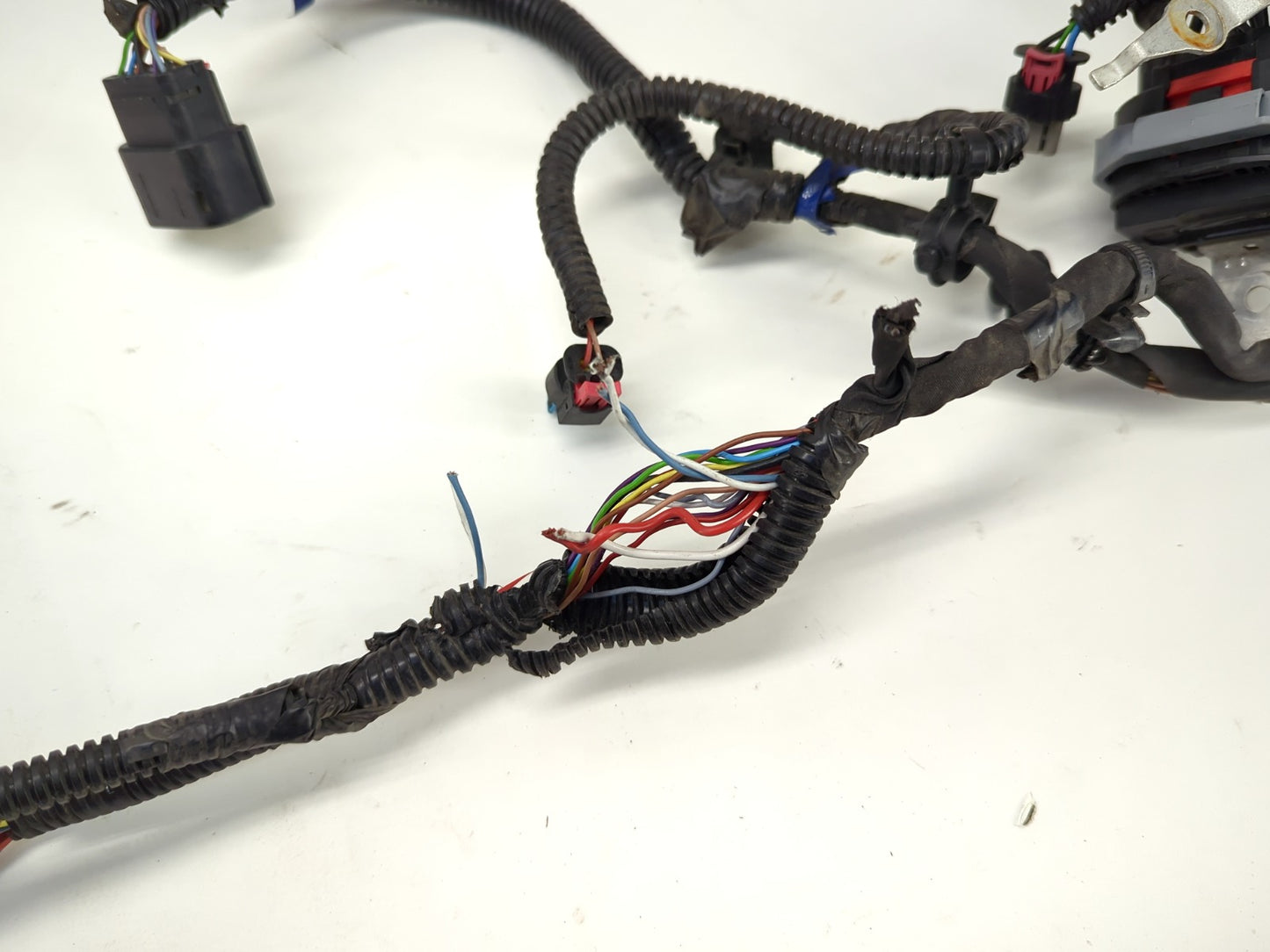 2022-2023 Tesla Model 3 Front End Harness 3067964-02-C