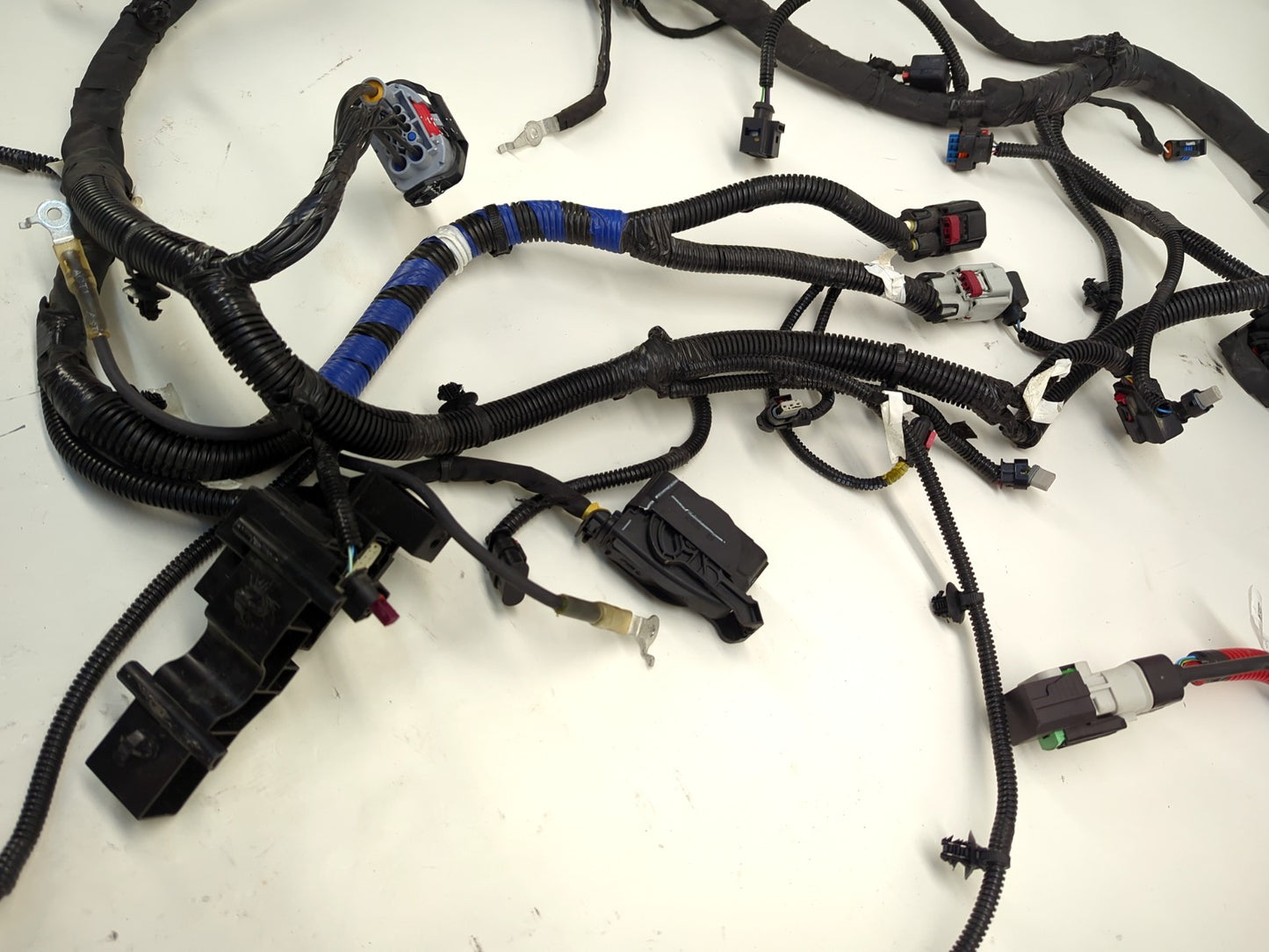 2025 Tesla Model Y Front Body Harness All Wheel Drive 3489058-01-D
