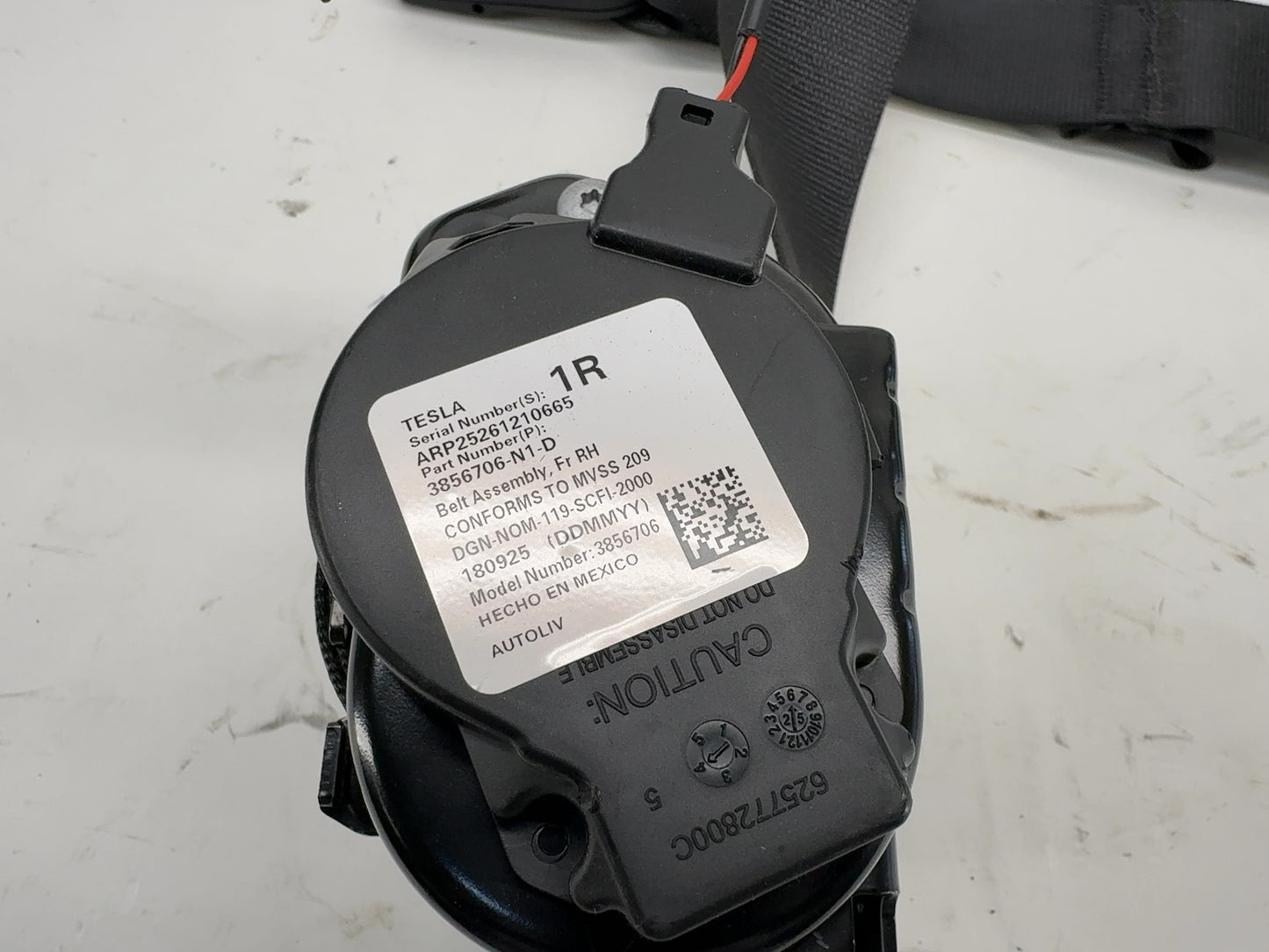 2026 Tesla Model Y Juniper First Row Right Seatbelt Without Pretensioner 3856706-N1-D