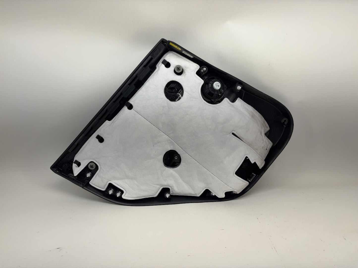 2024-2025 Tesla Model Y Rear Right Door Panel 1997297-00-D
