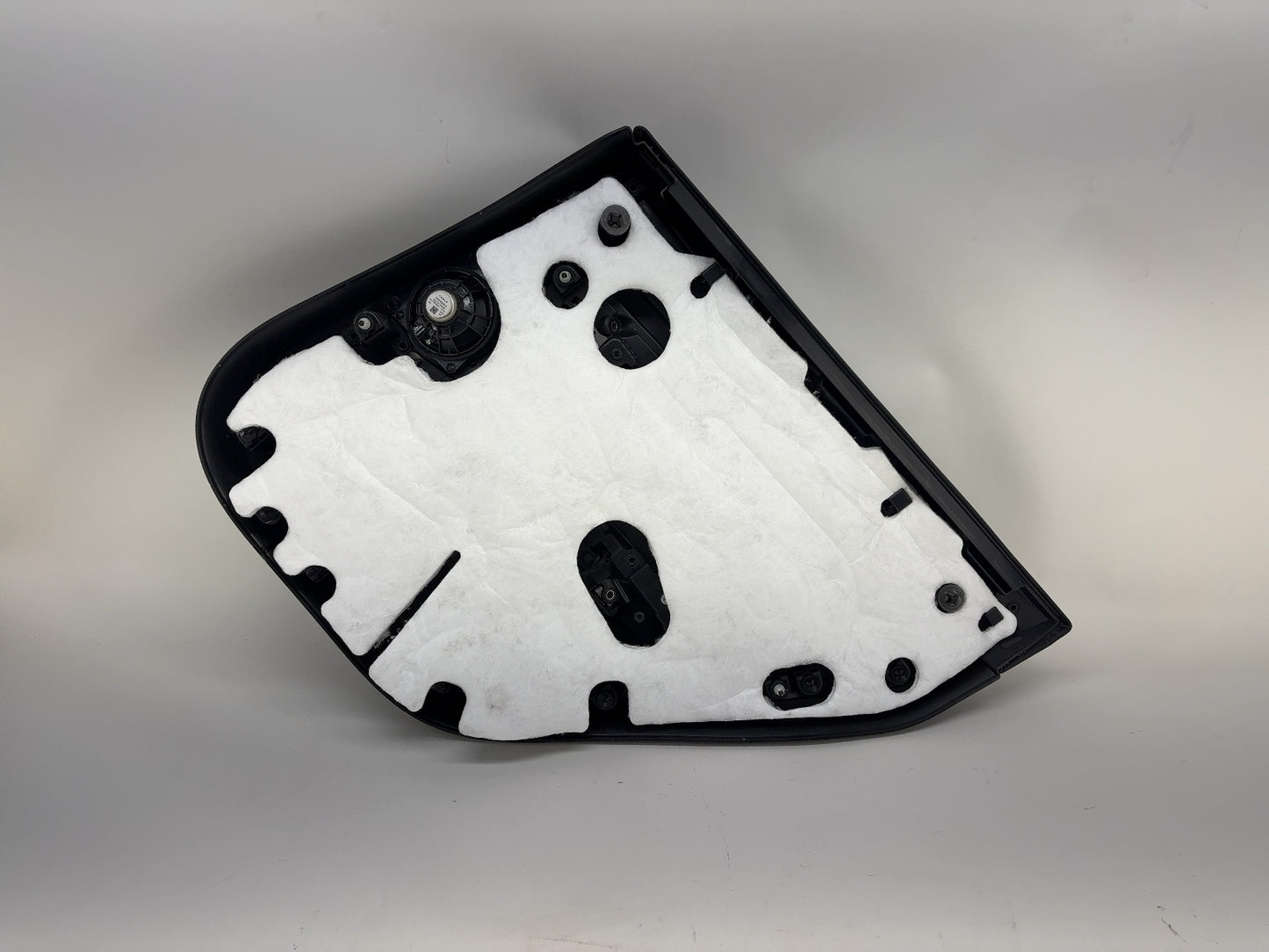2021-2022 Tesla Model 3 Rear Left Door Panel 1588126-01-D