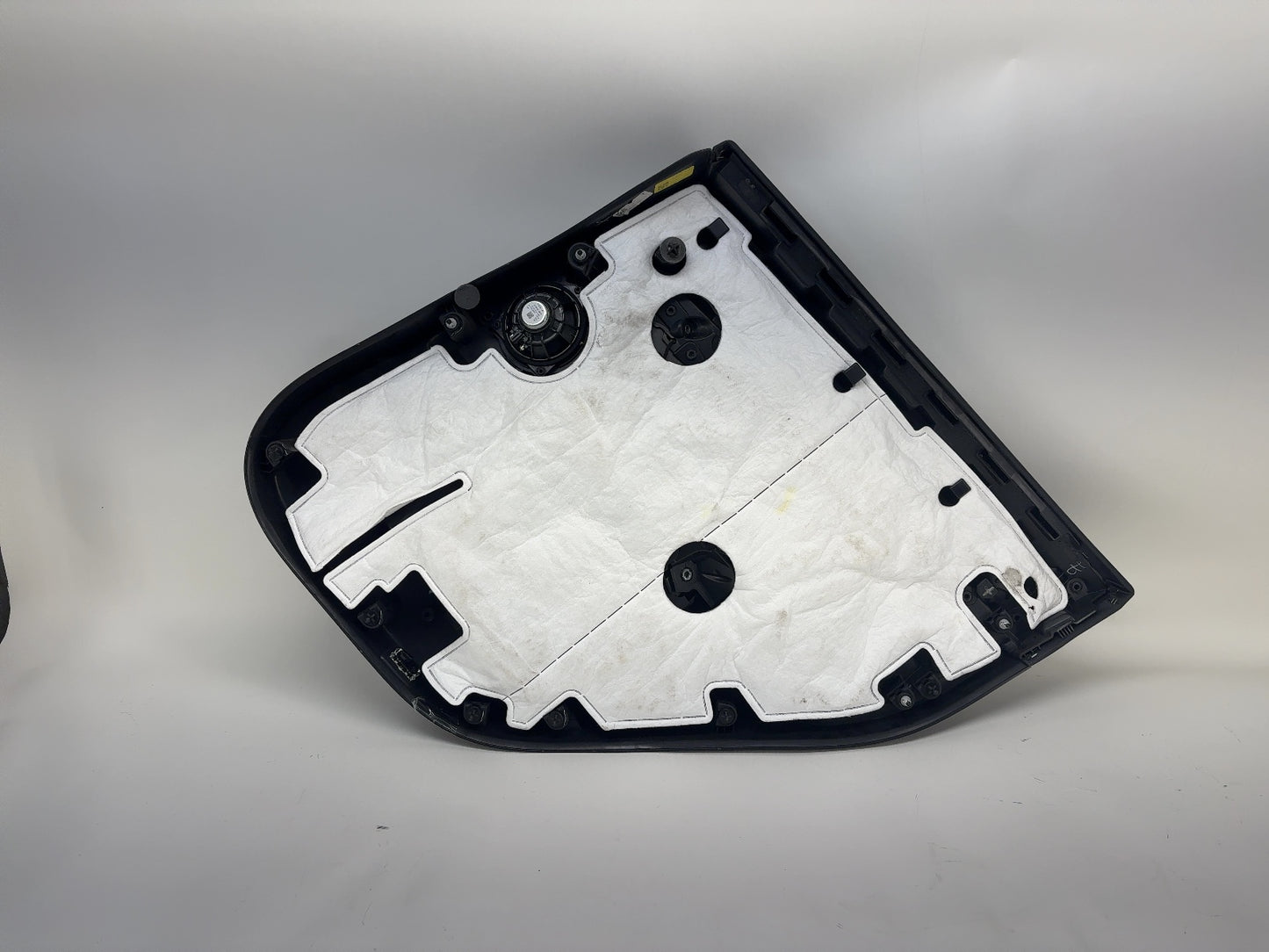 2022-2023 Tesla Model Y Rear Left Door Panel 1997296-00-A