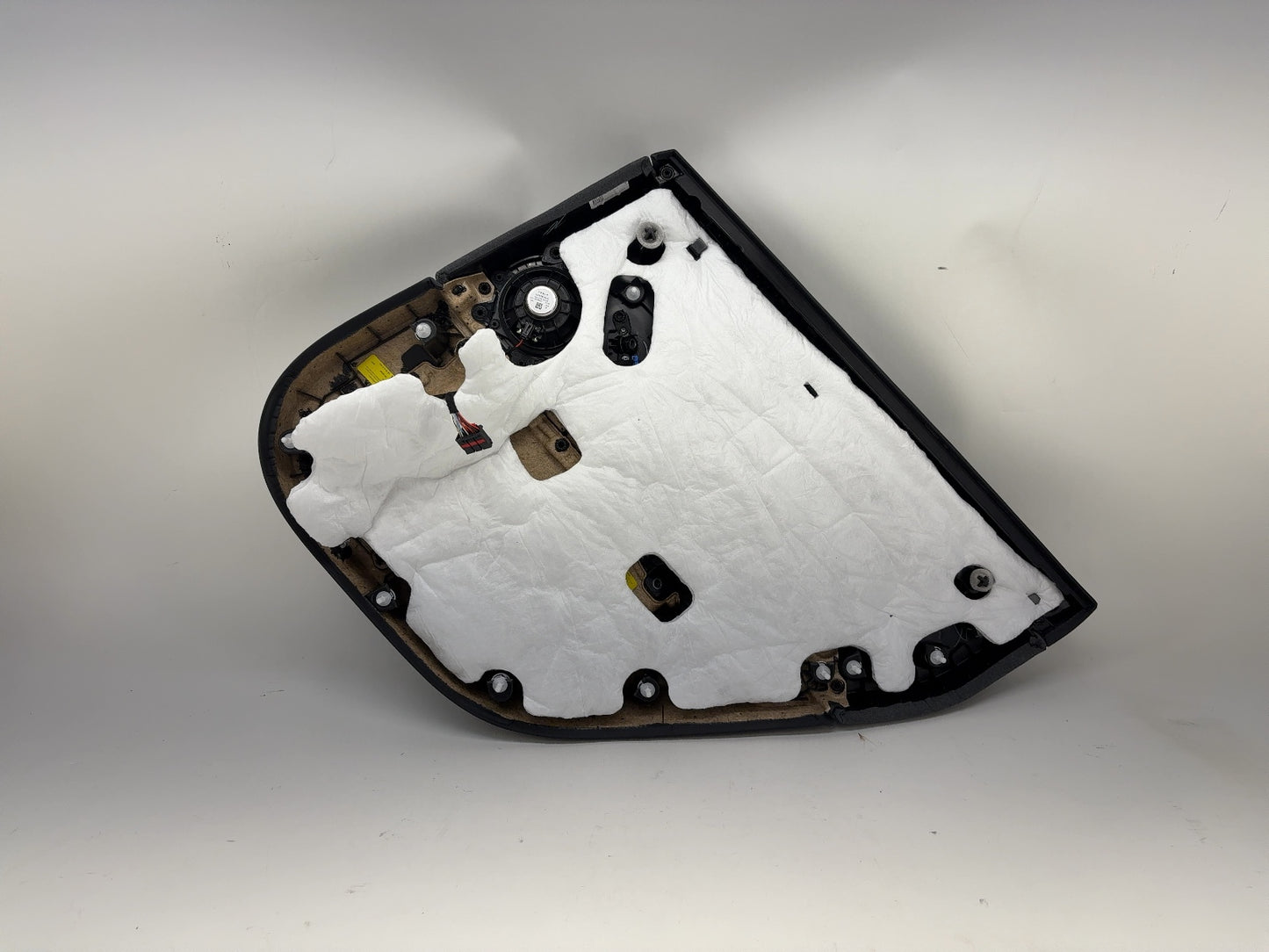 2024-2025 Tesla Model 3 Highland Rear Left Door Panel 1776471-25-C