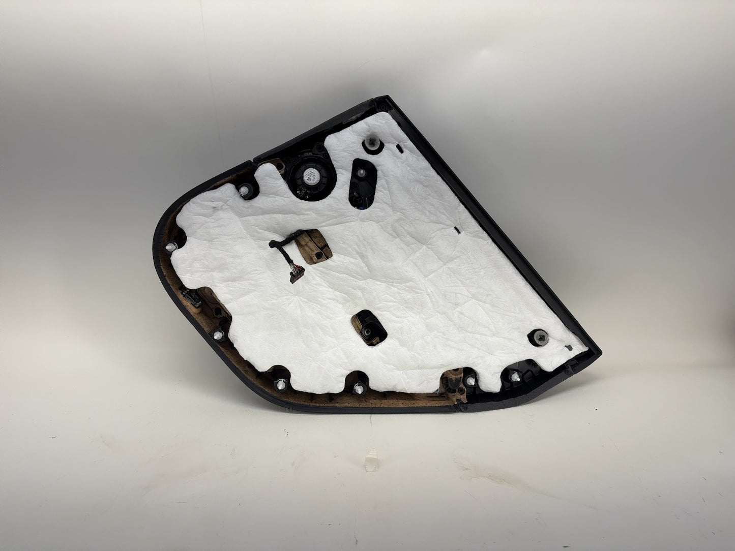 2025 Tesla Model 3 Highland Rear Left Door Panel 1776470-20-D