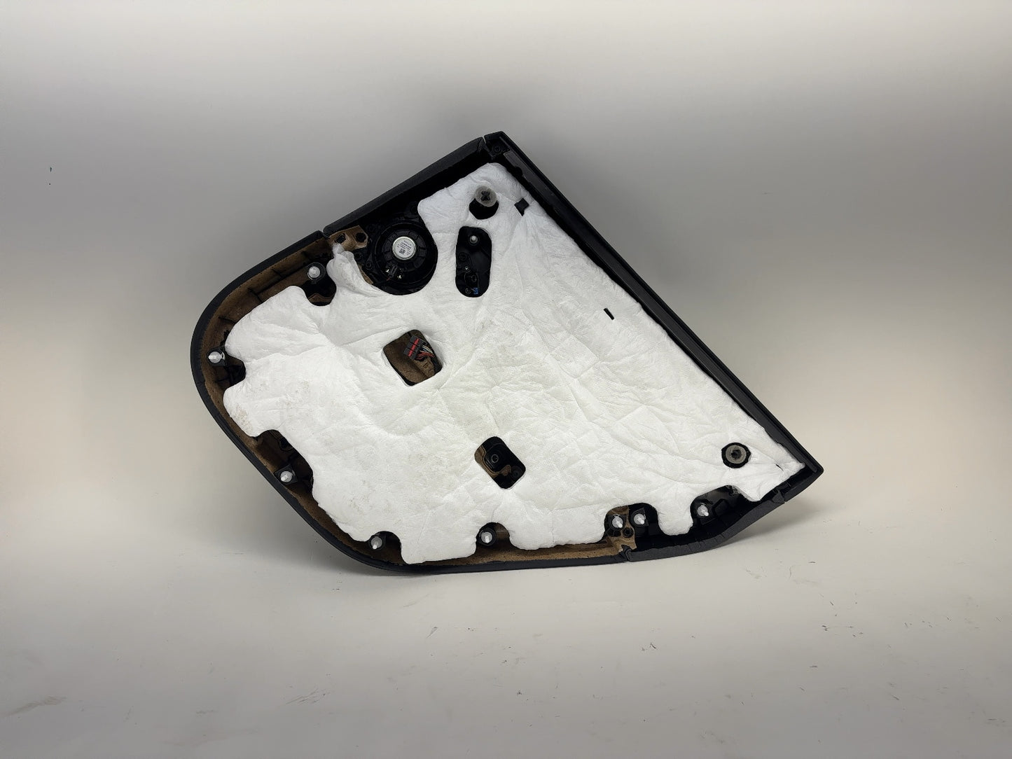 2024-2025 Tesla Model 3 Highland Rear Left Door Panel 1776470-20-E