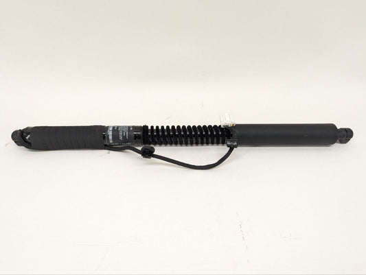 2018 Tesla Model X REAR DOOR EM STRUT - PRIMARY LEFT REAR - RIGHT FRONT 1063440-00-D