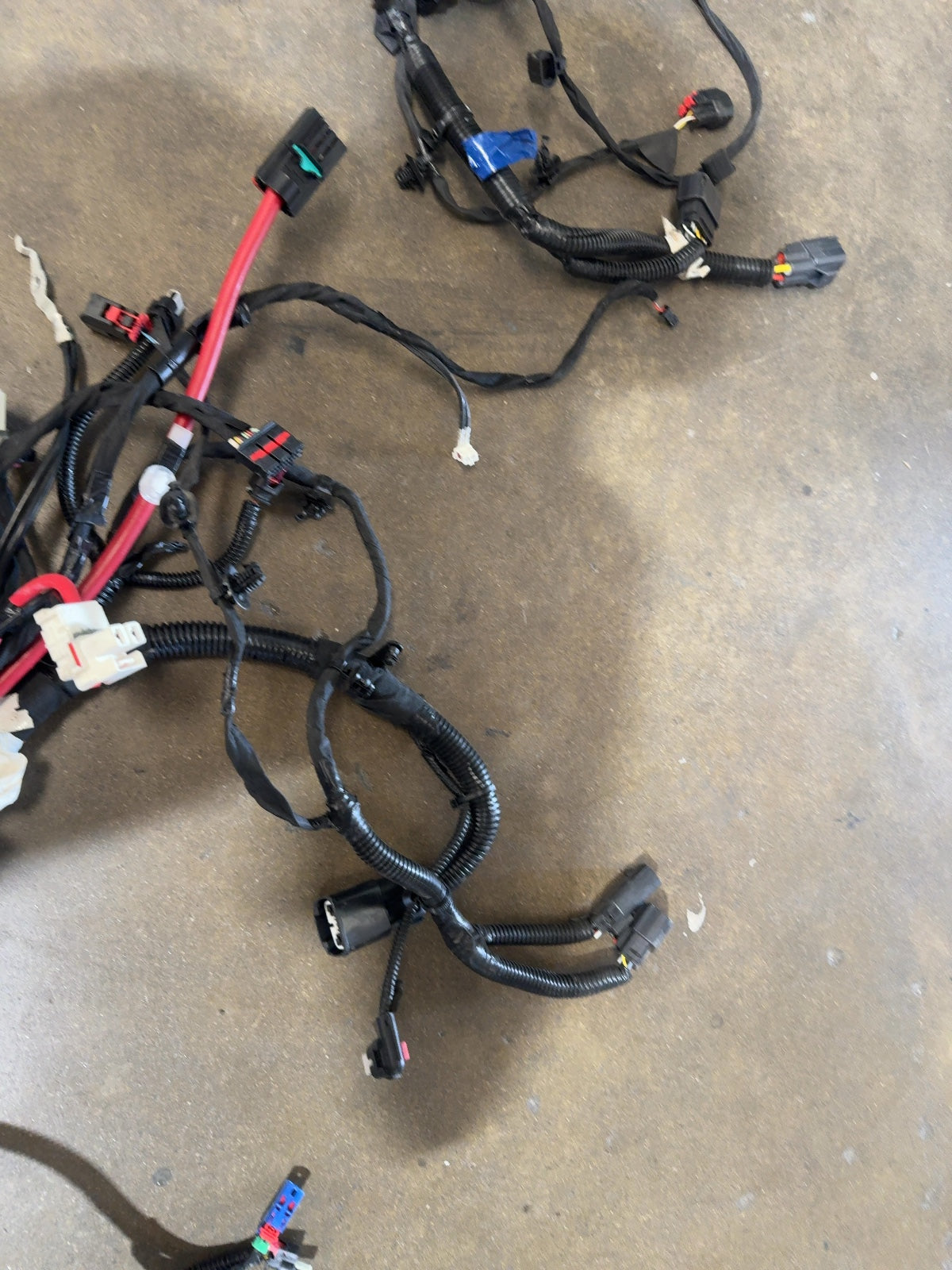 2025 Tesla Model 3 Highland Front Body Harness 1897330-11-B