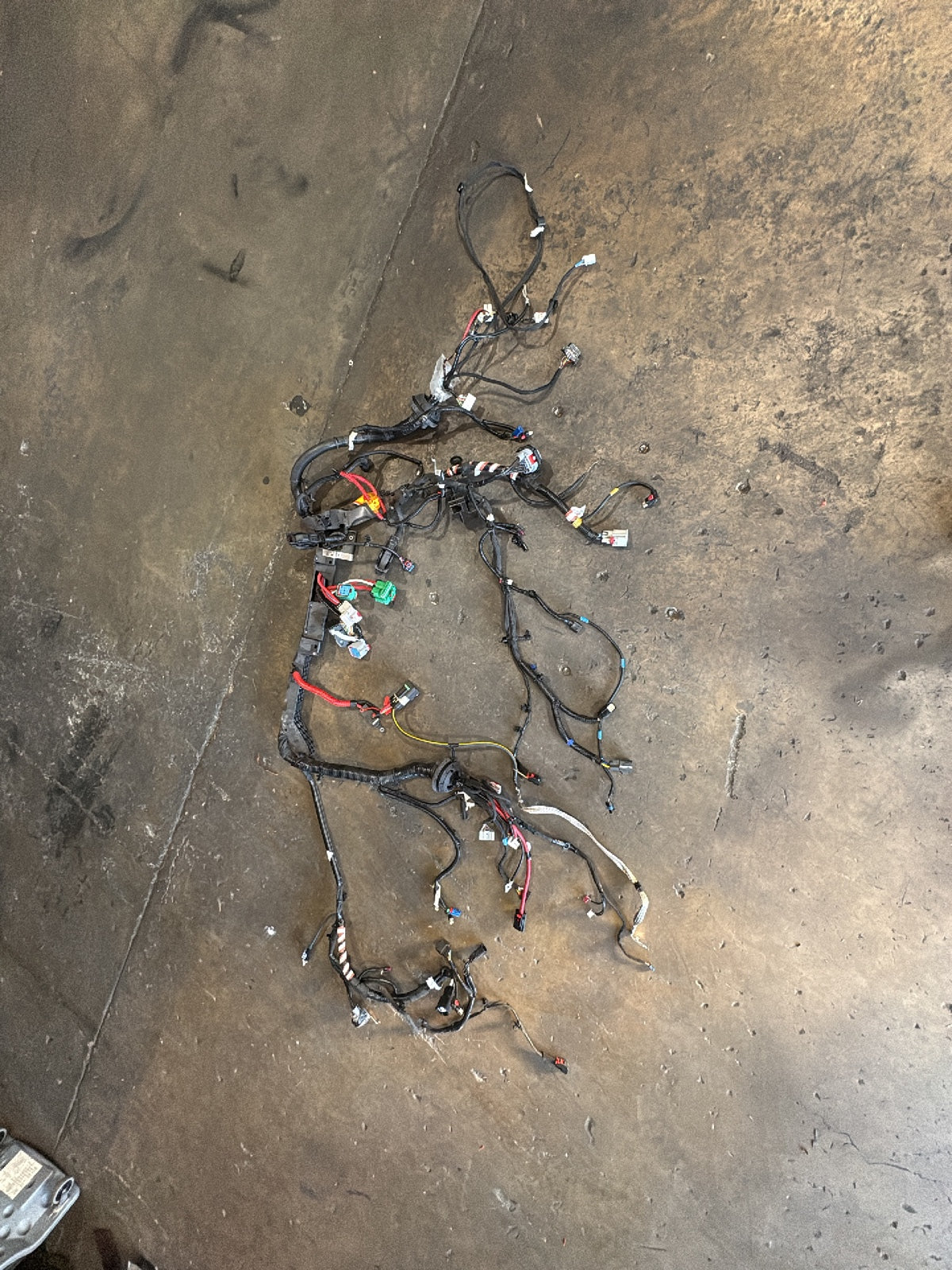 2026 Tesla Model 3 Highland Front Body Harness 2897330-11-A