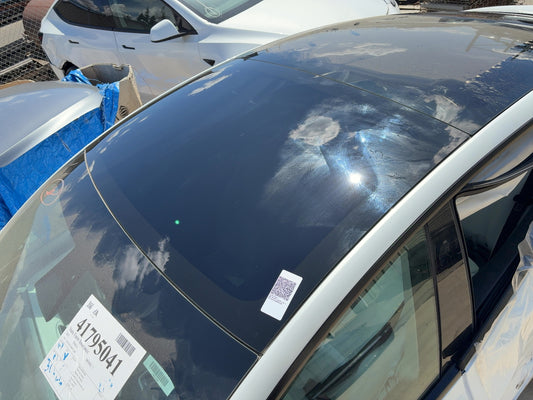 2021-2022 Tesla Model 3 Roof Glass 1587892-00-A