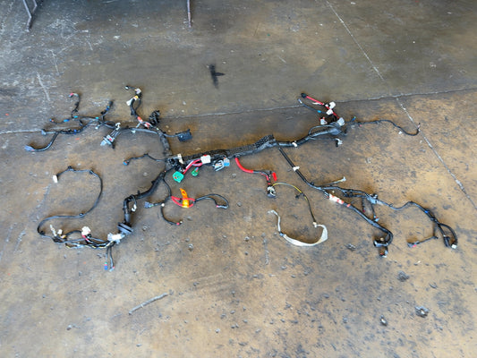 2025 Tesla Model 3 Highland Front Body Harness Assembly 1897330-11-B
