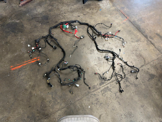 2026 Tesla Model Y Juniper Front Body Harness 1933901-10-D