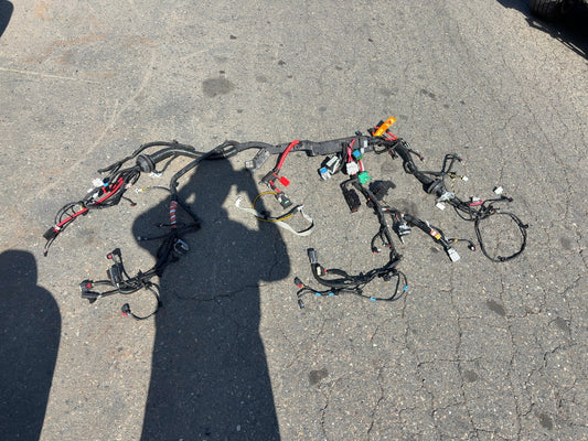 2025 Tesla Model 3 Highland Front Body Harness 1897330-11-B