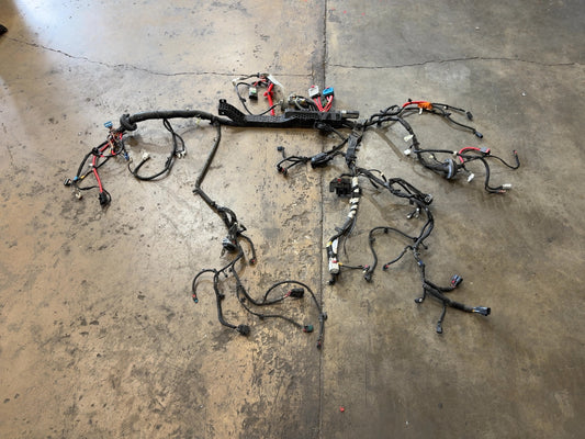 2022 Tesla Model 3 Front Body Harness 3067964-01-C