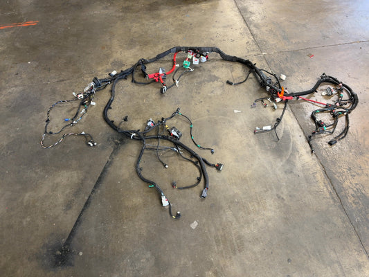 2026 Tesla Model Y Juniper Front Body Harness 1933901-11-D