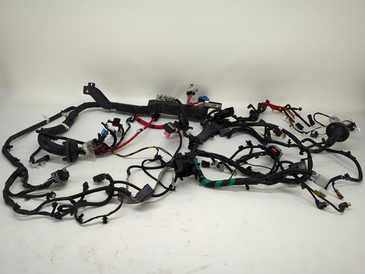 2022-2023 Tesla Model 3 Front End Harness 3067964-02-C