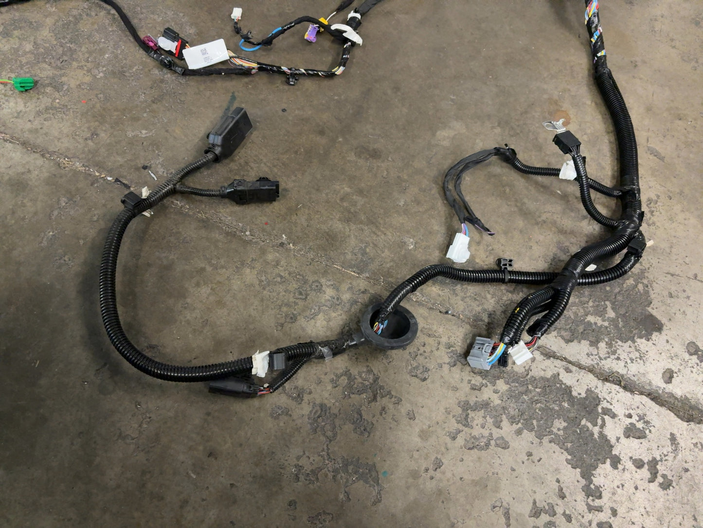 2025 Tesla Model 3 Highland Harness Assembly Body Right 1897316-00-C