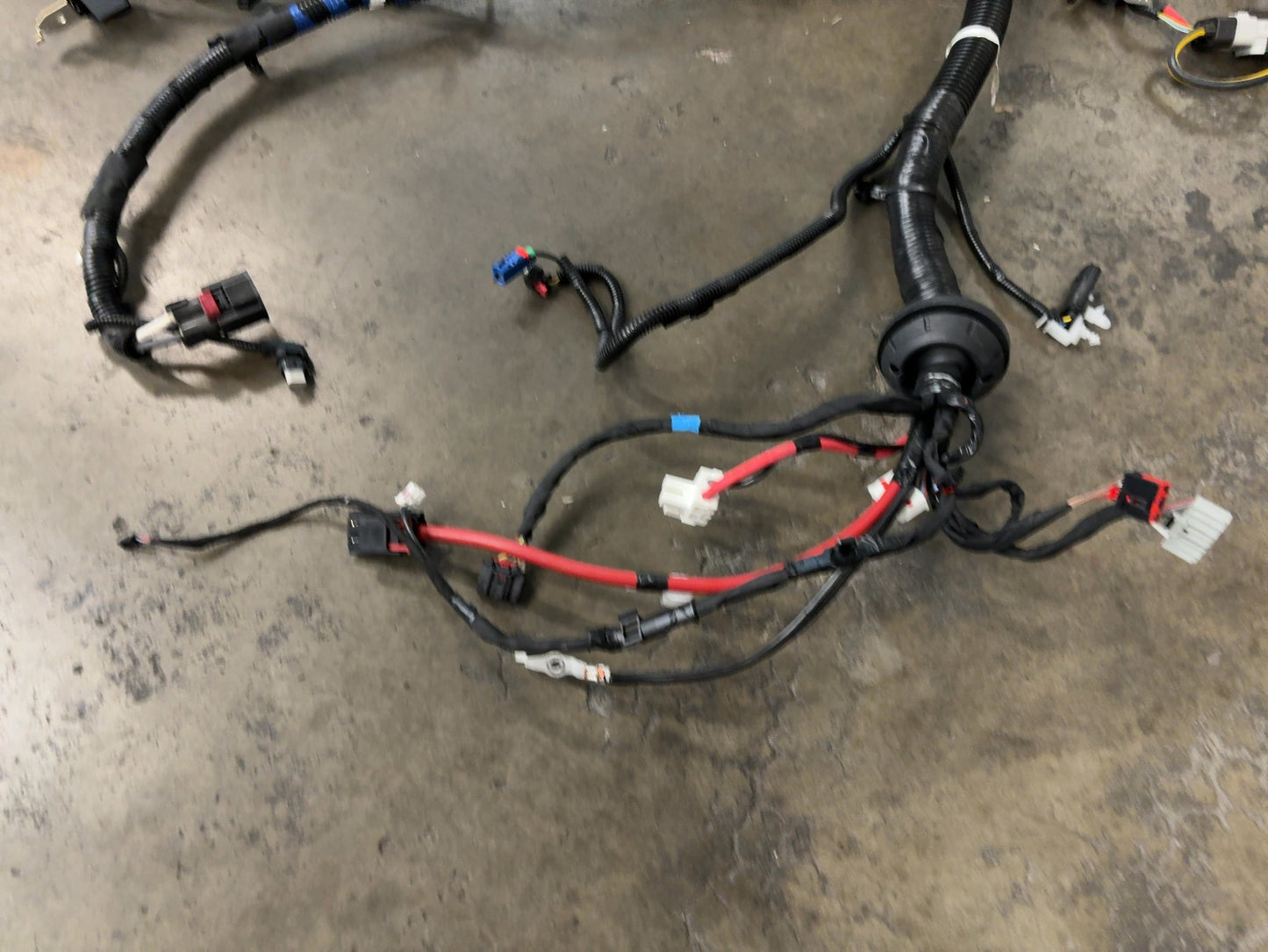 2025 Tesla Model 3 Highland Front Body Harness Performance 1897330-09-B