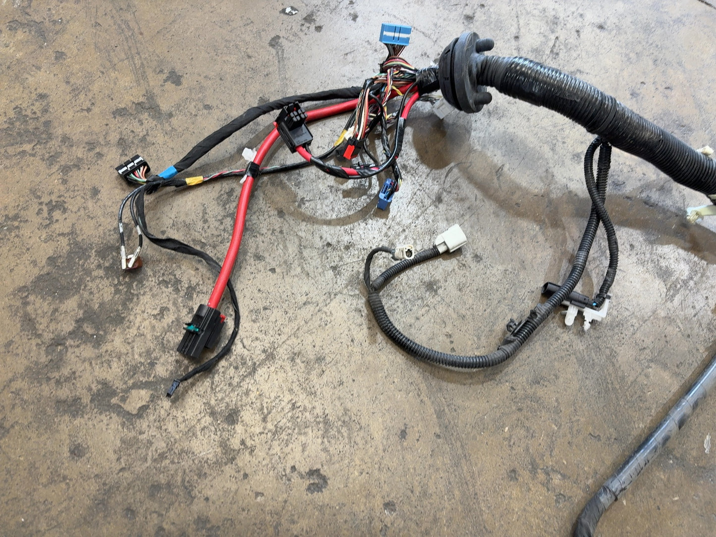 2022 Tesla Model 3 Front Body Harness 3067964-01-C
