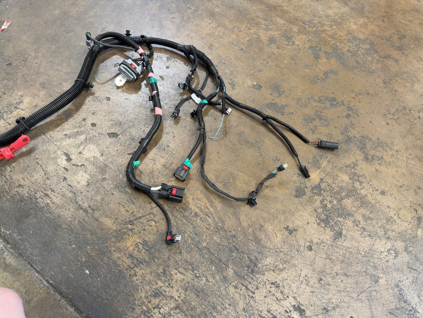 2026 Tesla Model Y Juniper Front Body Harness 1933901-11-D