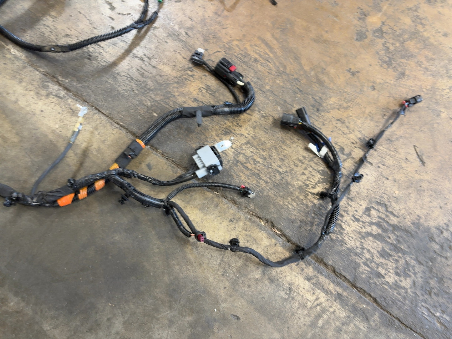2024-2025 Tesla Model 3 Highland Front Body Harness 1897330-10-B