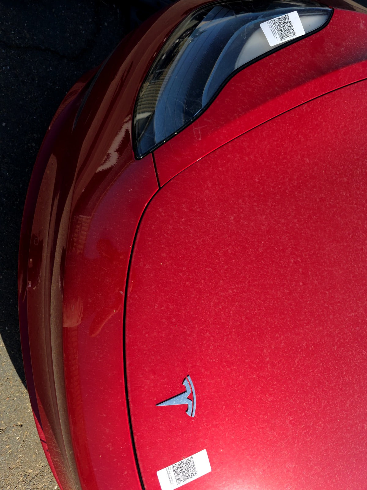 2021-2023 Tesla Model 3 Hood 1081390-E0-C
