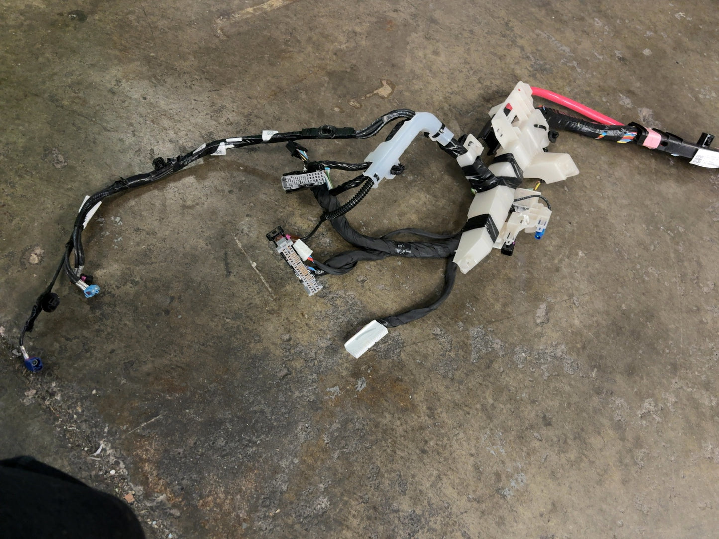 2025 Tesla Model 3 Highland Harness Assembly Body Right 1897316-00-C