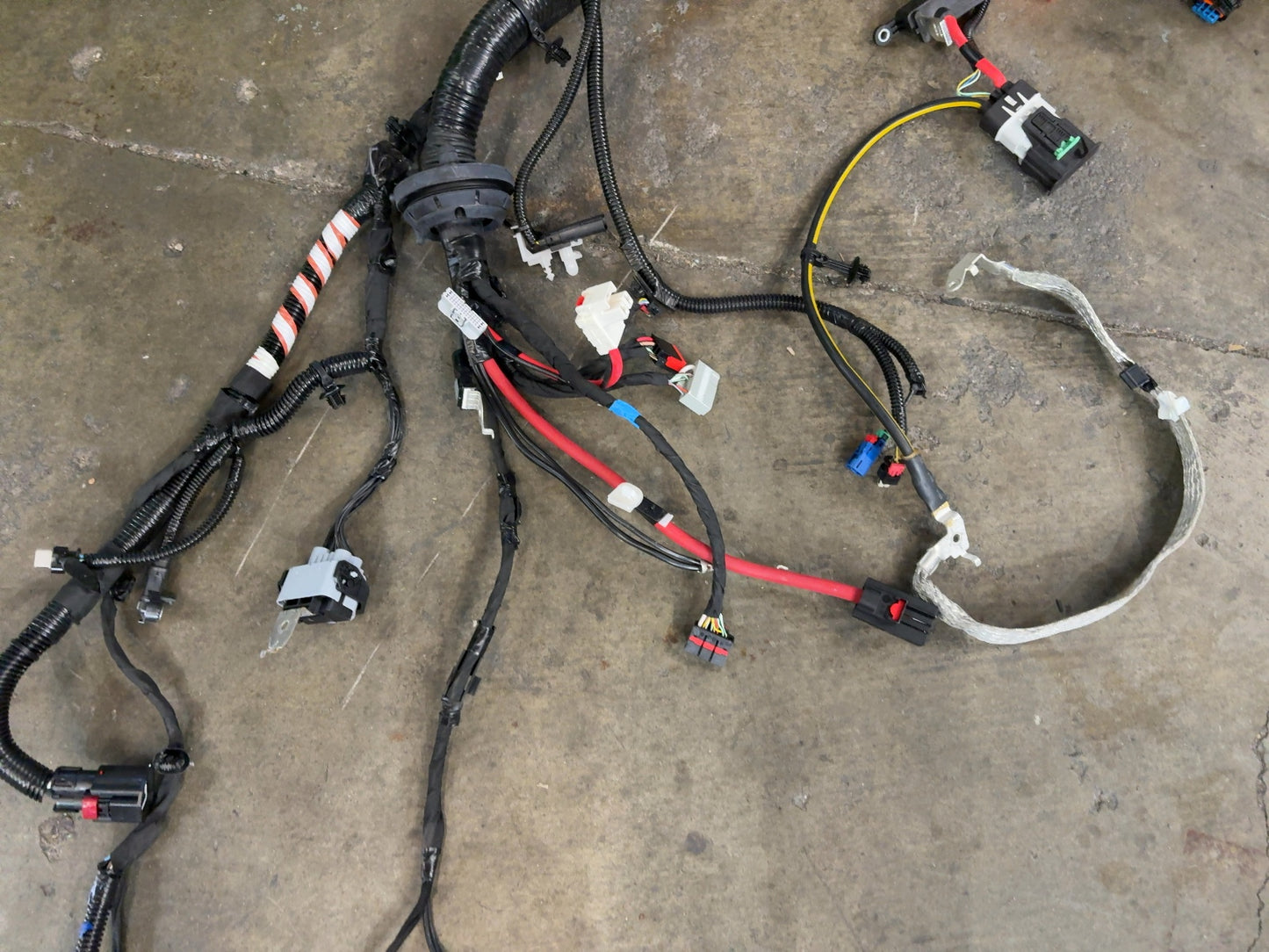2025 Tesla Model 3 Highland Front Body Harness 1897330-11-C