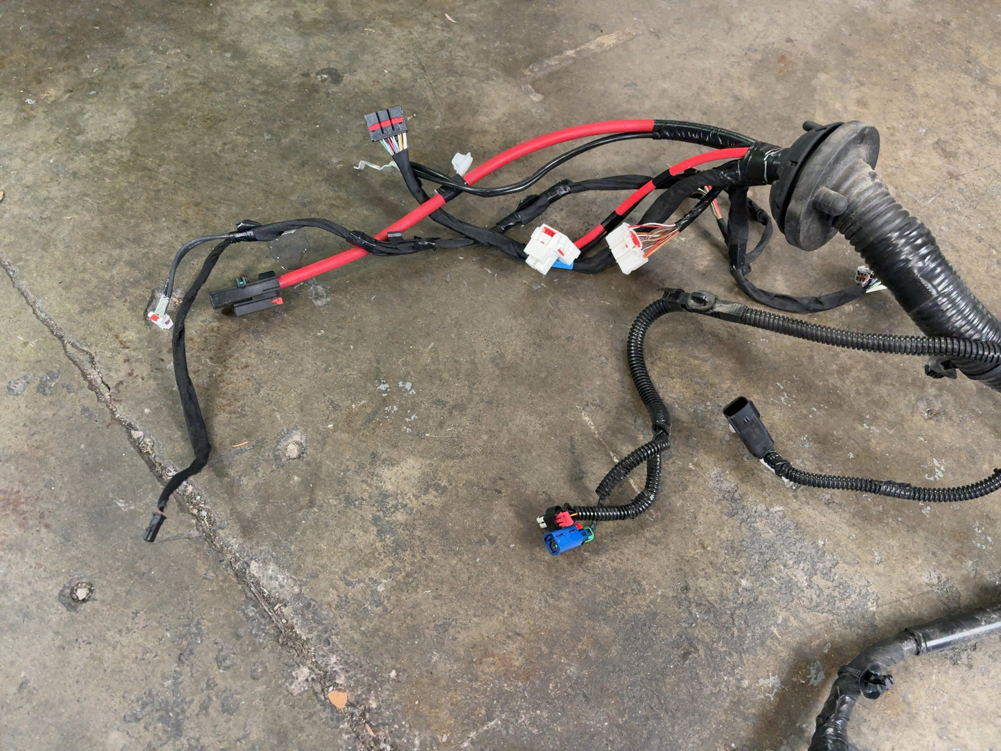 2025 Tesla Model 3 Highland Front Body Harness 1897330-11-B