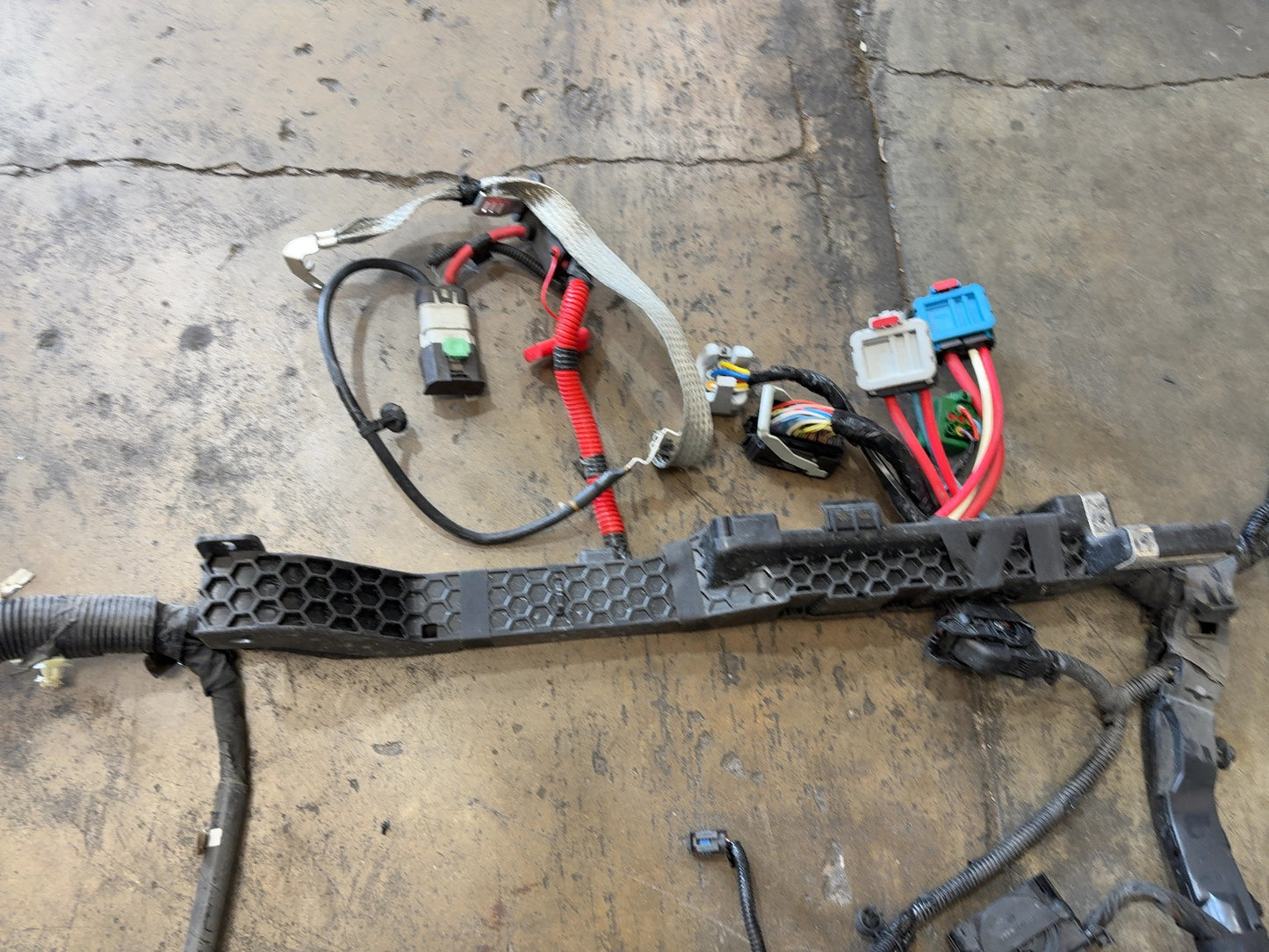 2022 Tesla Model 3 Front Body Harness 3067964-01-C