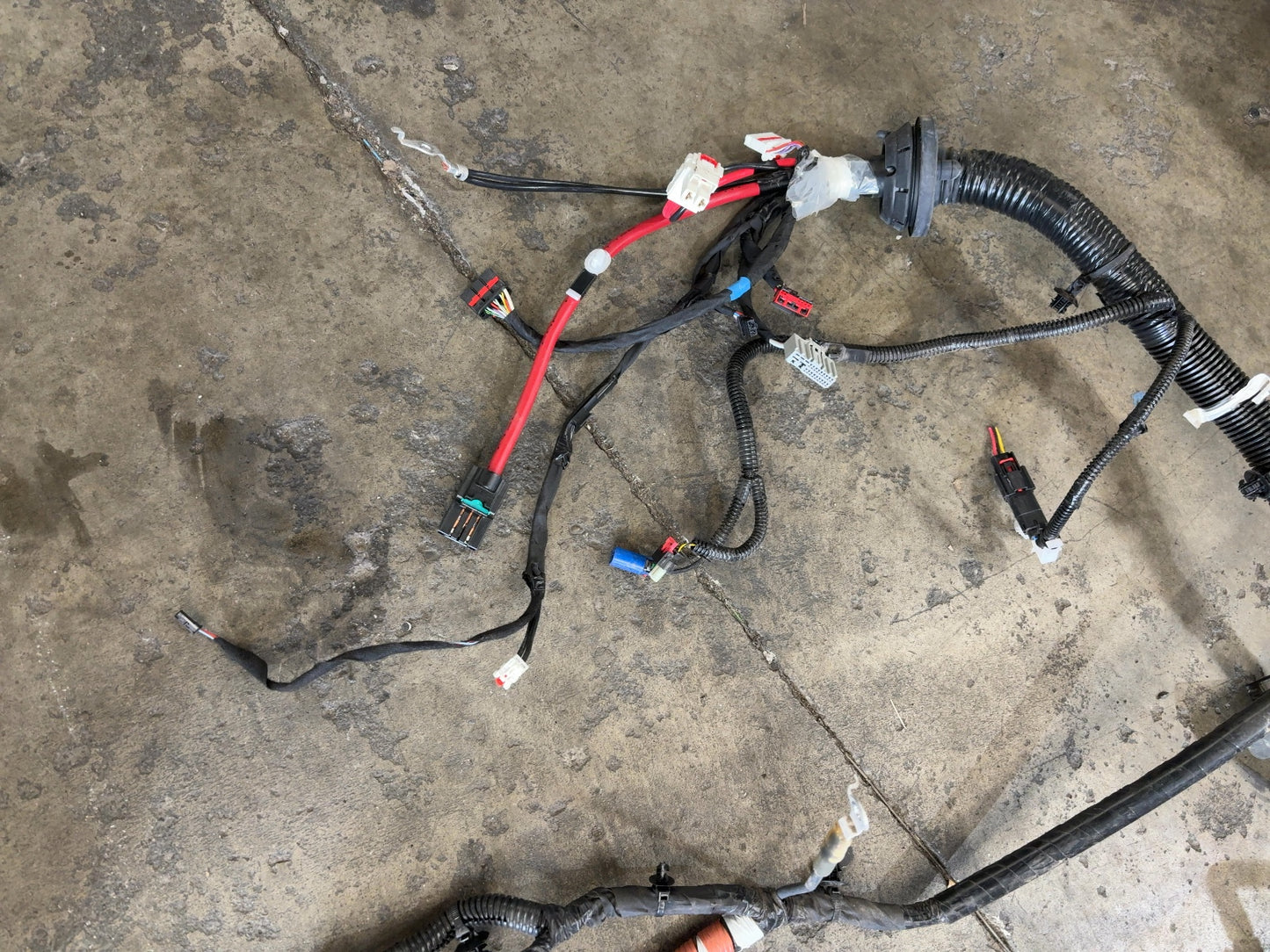 2025 Tesla Model 3 Highland Front Body Harness 1897330-11-B