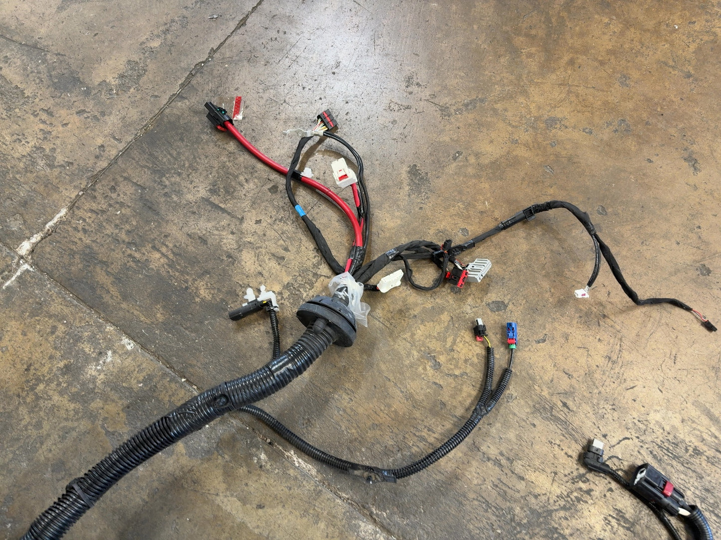 2024-2025 Tesla Model 3 Highland Front Body Harness 1897330-10-B