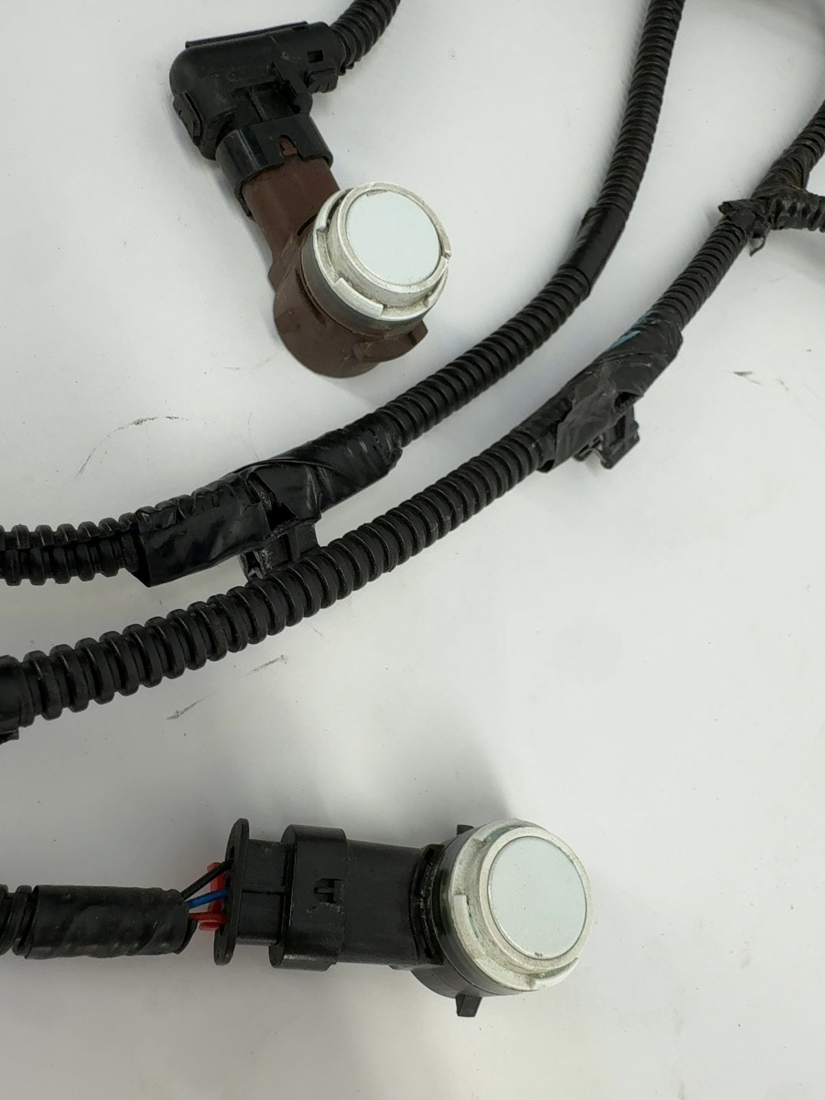 2020-2022 Tesla Model 3 Rear Bumper Harness With Sensors 1067959-00-E