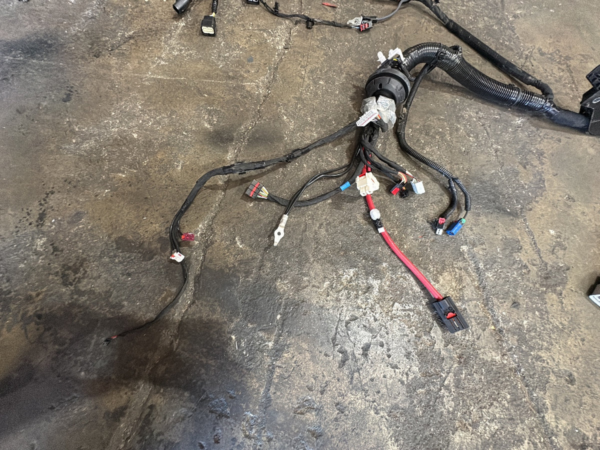 2026 Tesla Model 3 Highland Front Body Harness 2897330-11-A