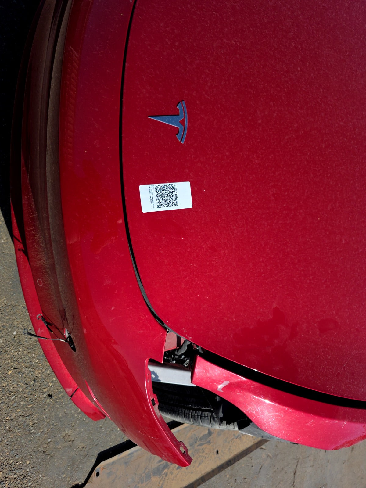 2021-2023 Tesla Model 3 Hood 1081390-E0-C