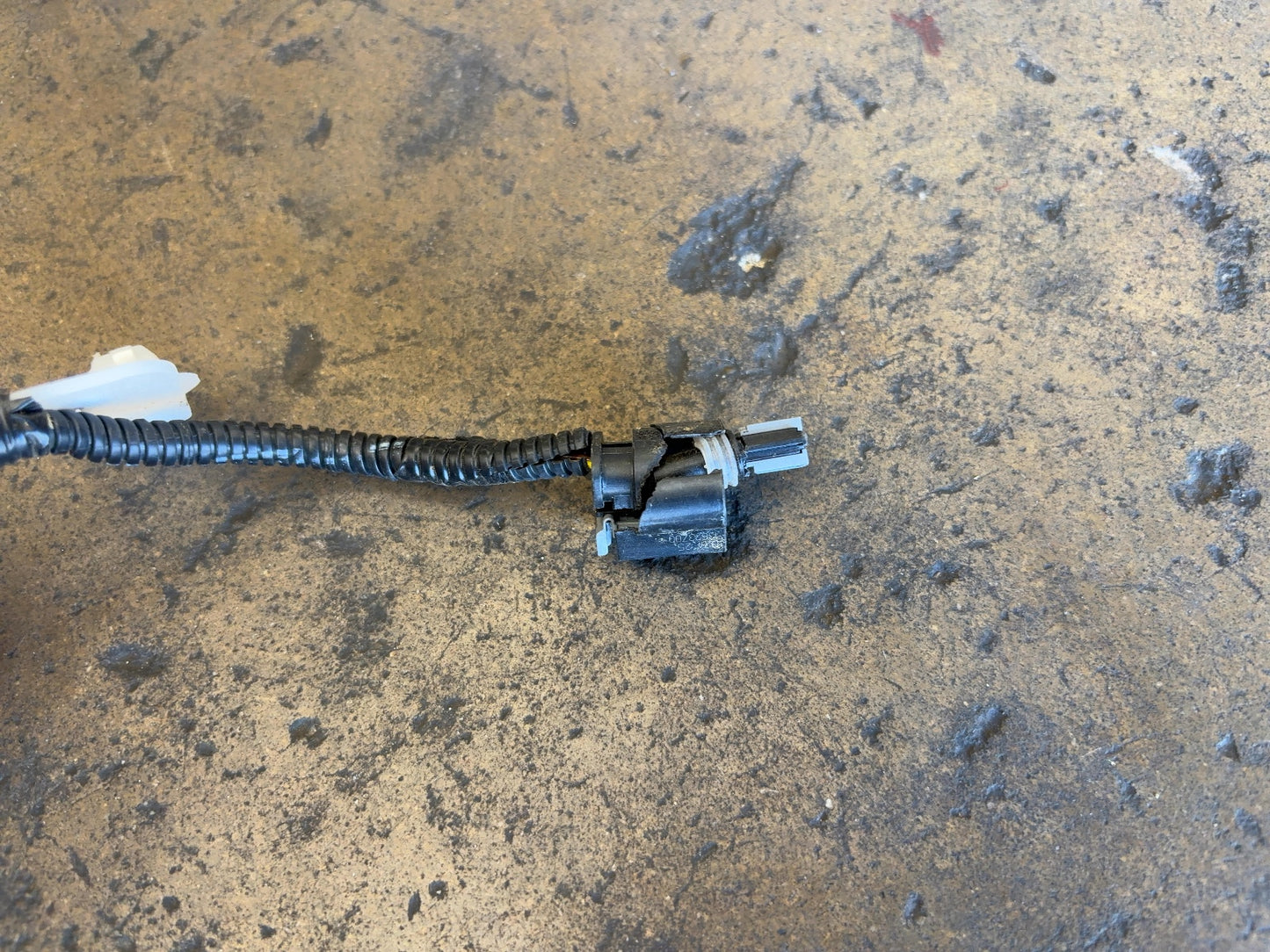 2026 Tesla Model Y Juniper Front Body Harness With A Few Cuts 1933901-90-D