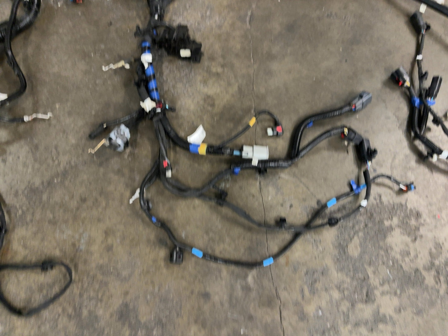 2025 Tesla Model 3 Highland Front Body Harness Performance 1897330-09-B
