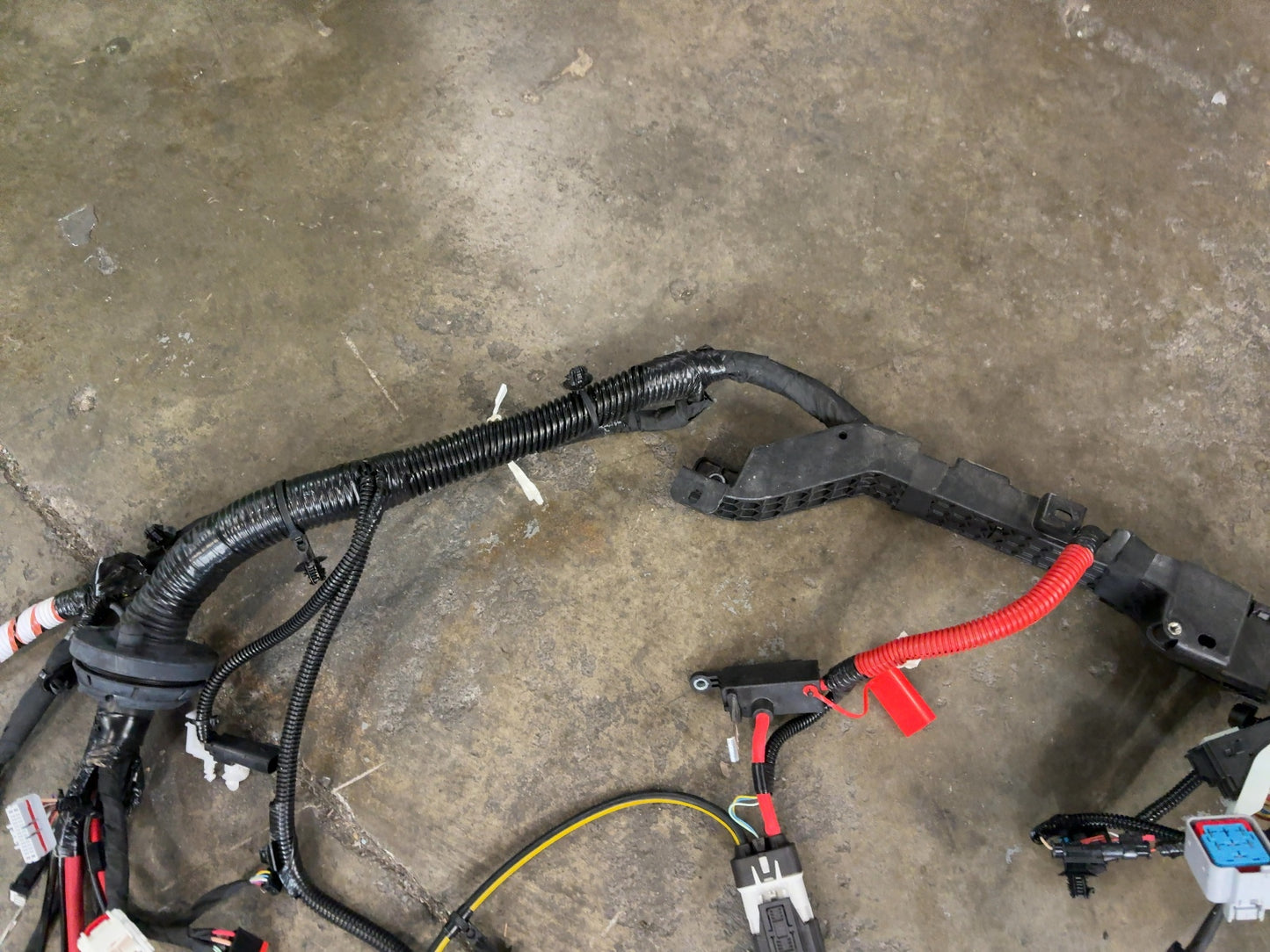 2025 Tesla Model 3 Highland Front Body Harness 1897330-11-C