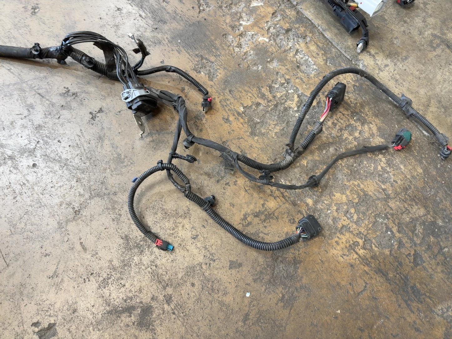 2022 Tesla Model 3 Front Body Harness 3067964-01-C
