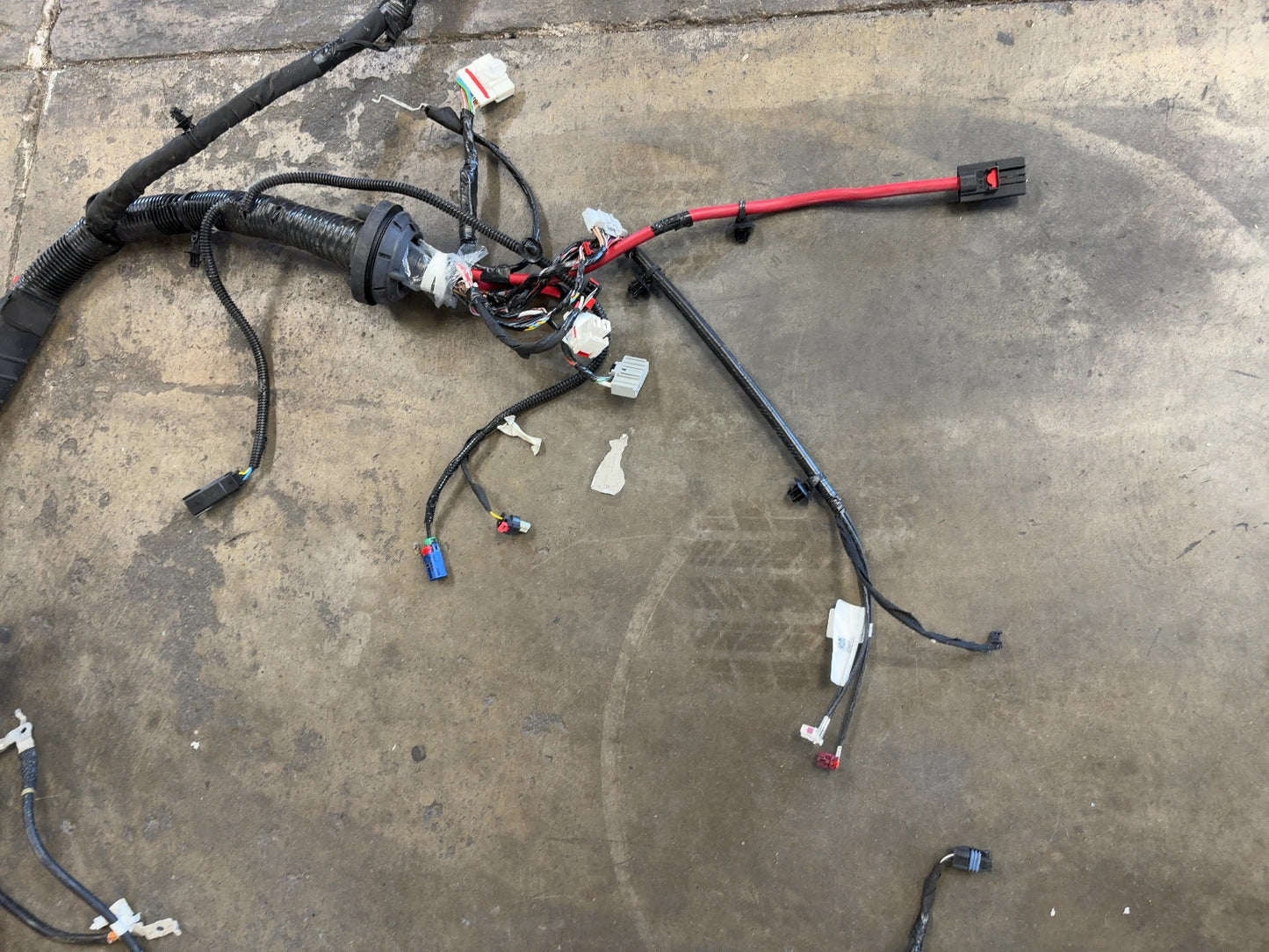 2026 Tesla Model Y Juniper Front Body Harness 1933901-11-D