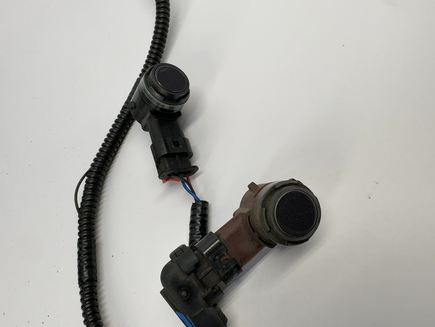 2020-2022 Tesla Model 3 Rear Bumper Harness With Sensors 1067959-00-E