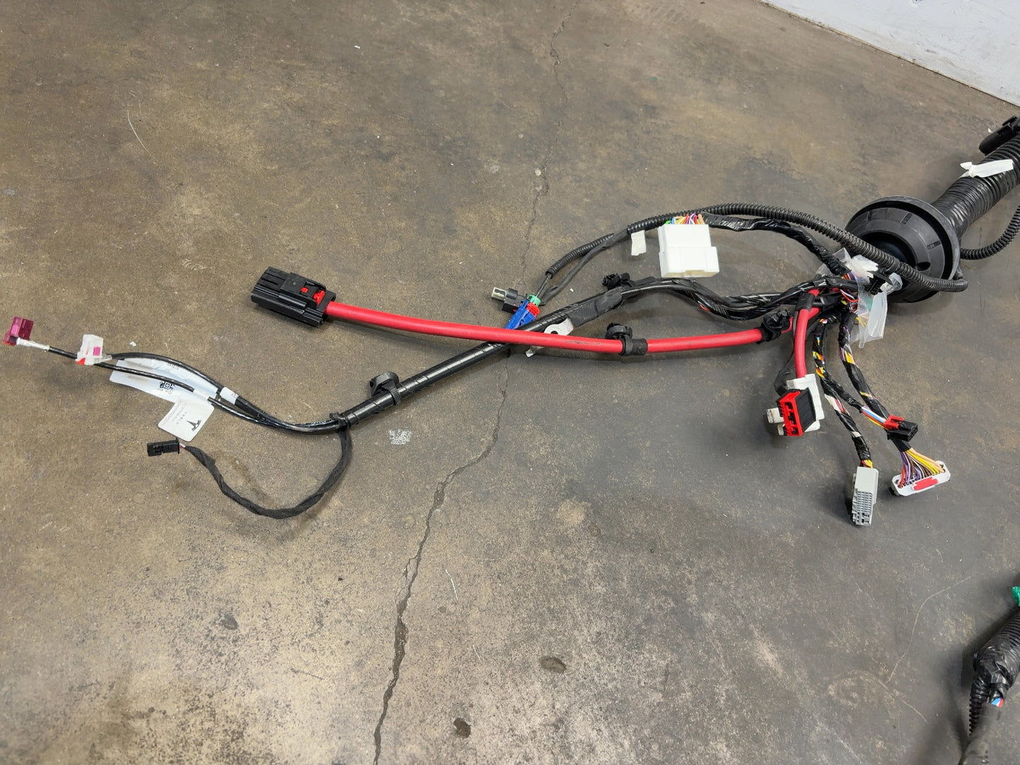 2026 Tesla Model Y Juniper Front Body Harness 2933901-11-C