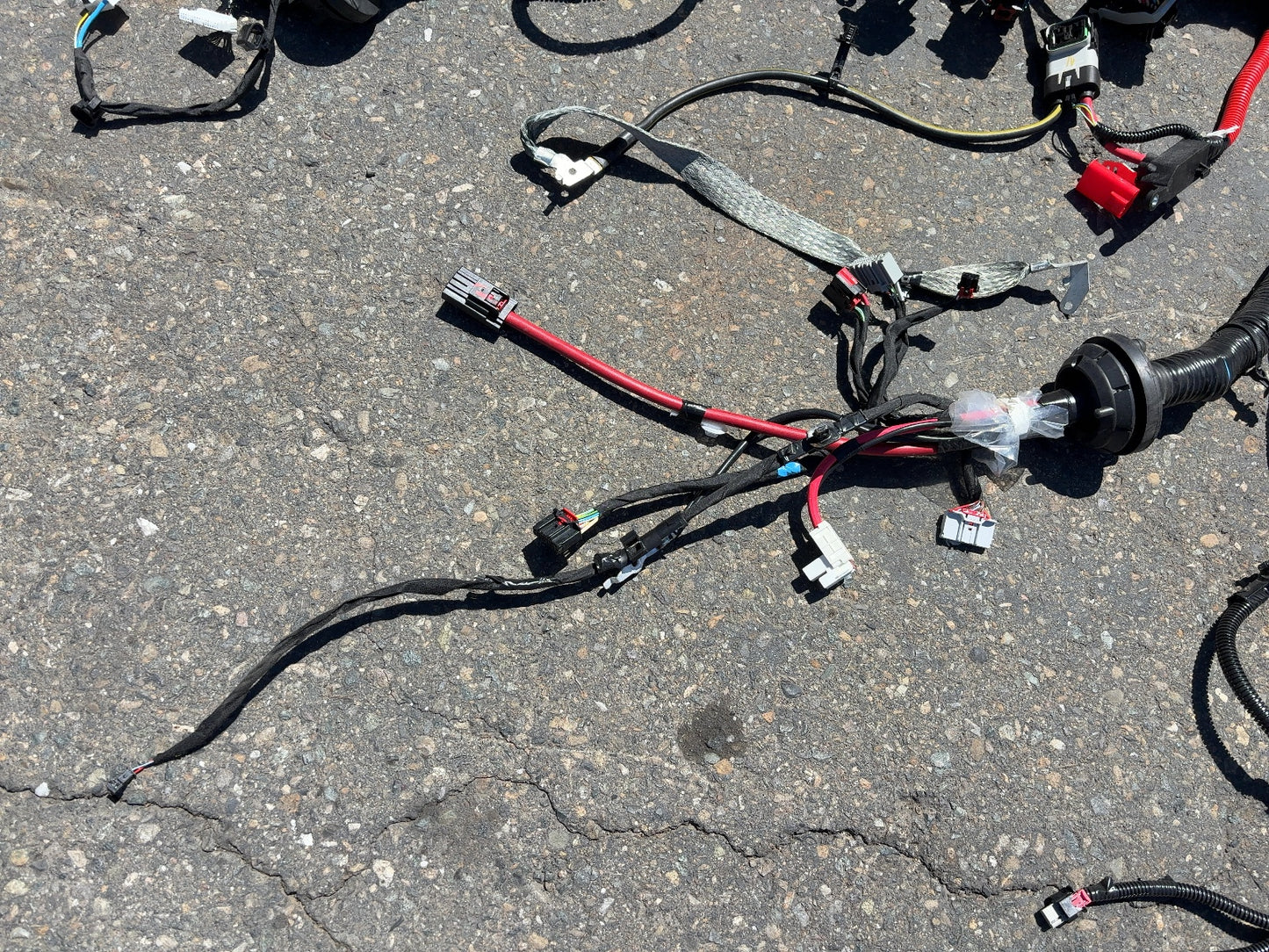 2025 Tesla Model 3 Highland Front Body Harness 1897330-11-C