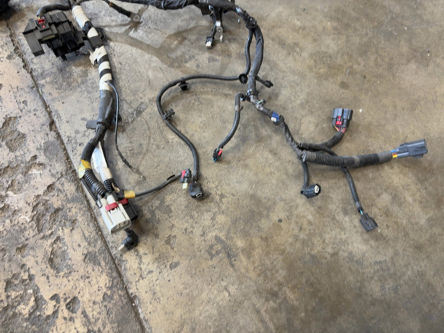 2022 Tesla Model 3 Front Body Harness 3067964-01-C