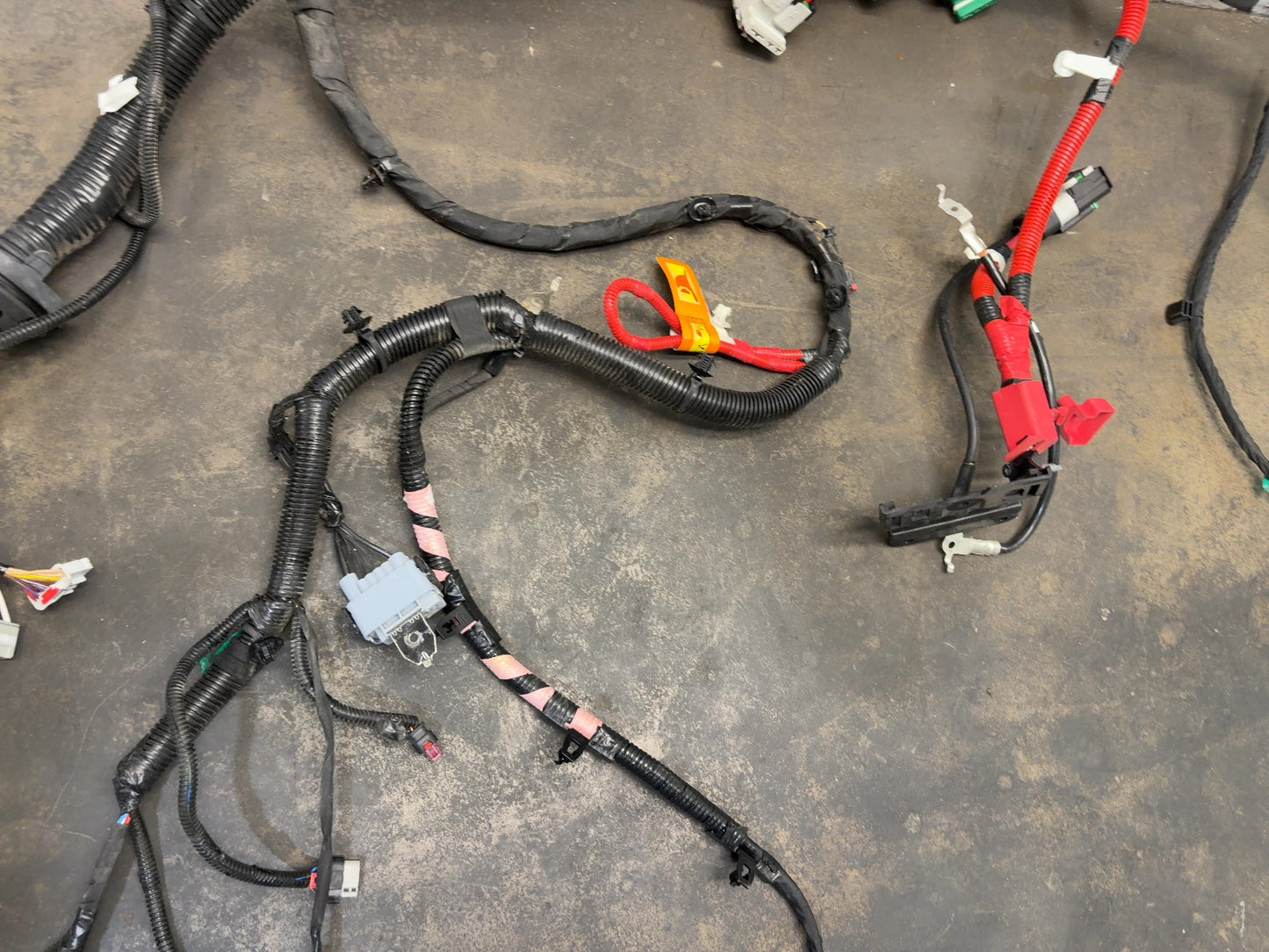 2026 Tesla Model Y Juniper Front Body Harness 2933901-11-C