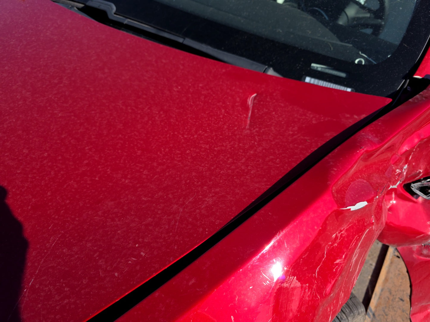 2021-2023 Tesla Model 3 Hood 1081390-E0-C