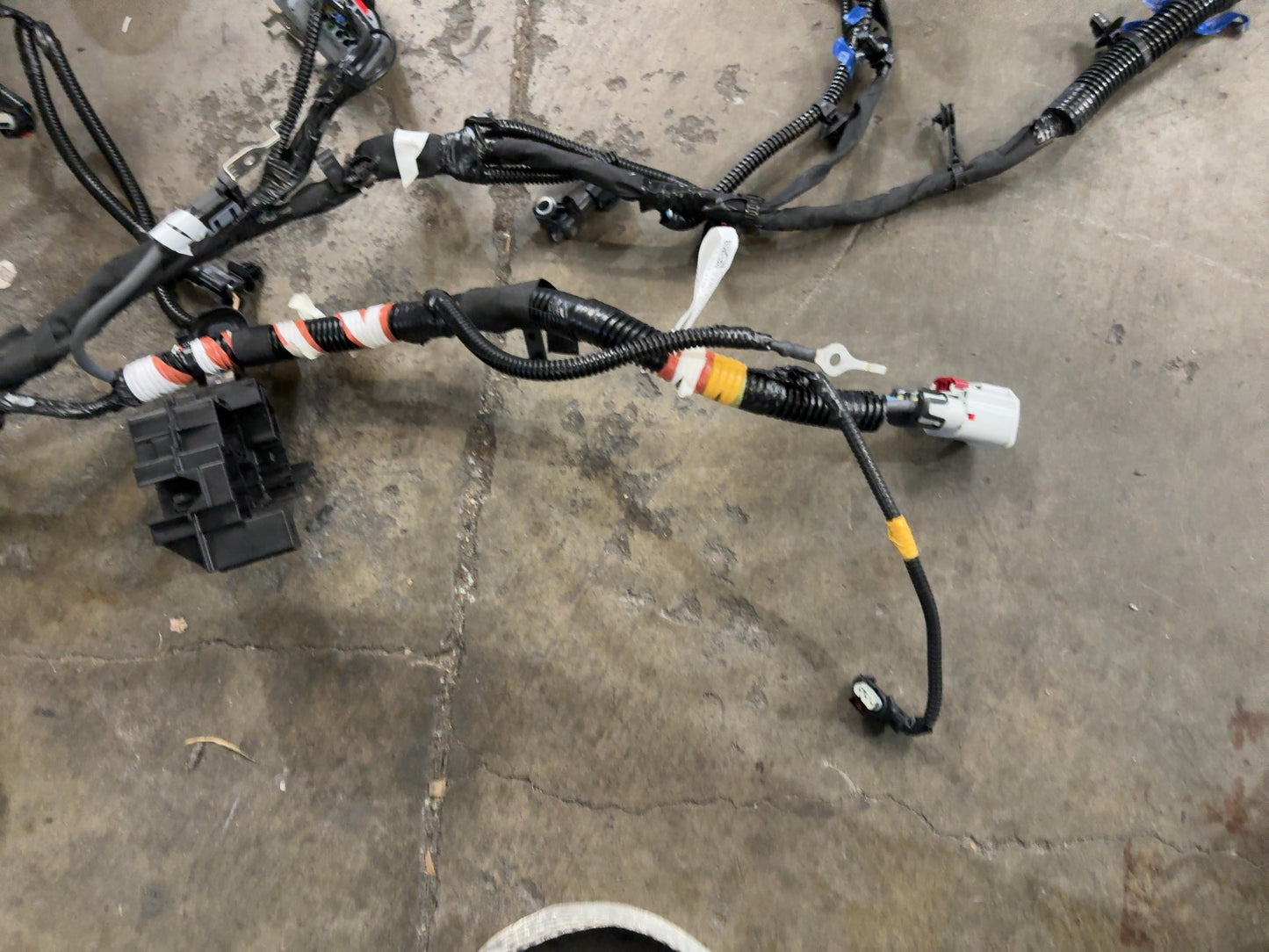 2025 Tesla Model 3 Highland Front Body Harness 1897330-11-C